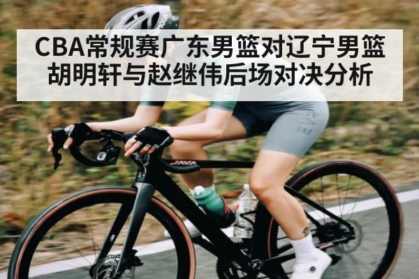 CBA常规赛广东男篮对辽宁男篮胡明轩与赵继伟后场对决分析